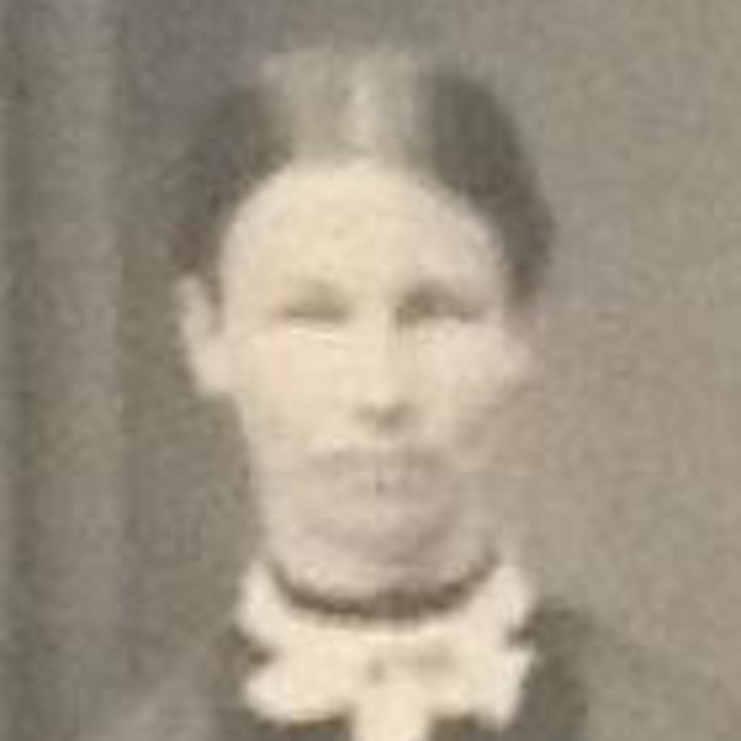 Sarah Ann Plant (1861 - 1918) Profile